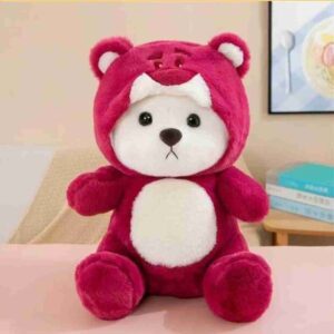 Hoodie Teddy Bear